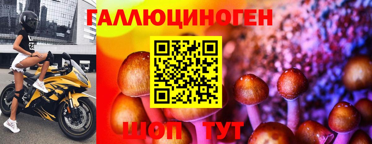Галлюциногенные грибы Cubensis  Вход с VPN  Галлюциногенные грибы Psilocybe  Ликино-Дулёво 